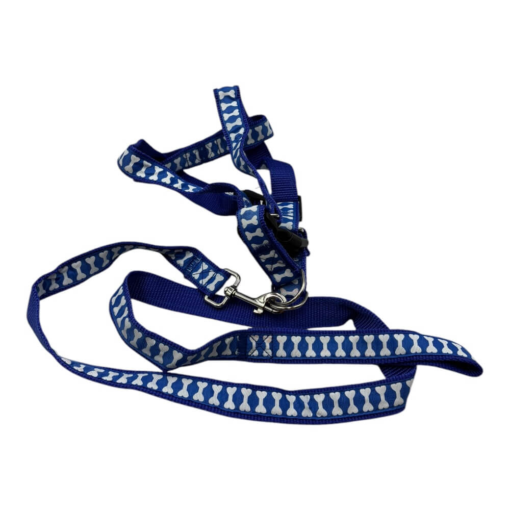 Arnes y Correa con diseño 2.5cm 12 pcs Color Aleatorio ZCXA1634