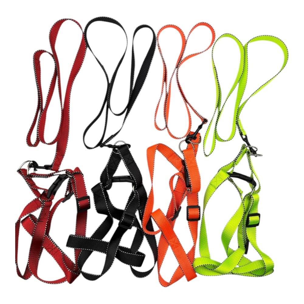 Arne Cinta Color 2.5cm 4 pcs Color Aleatorio ZCXA2412