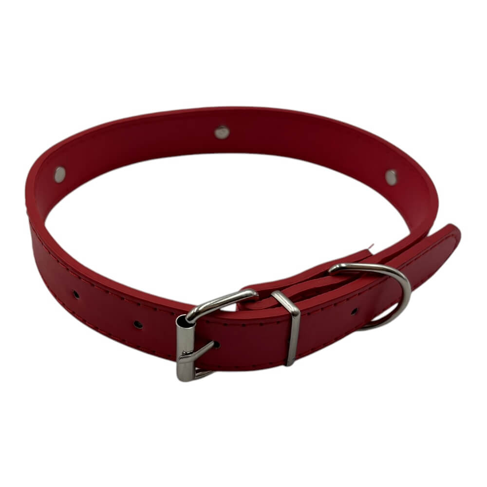 Collar Pata Hueso Perro 2.5x55cm ZCXA2993