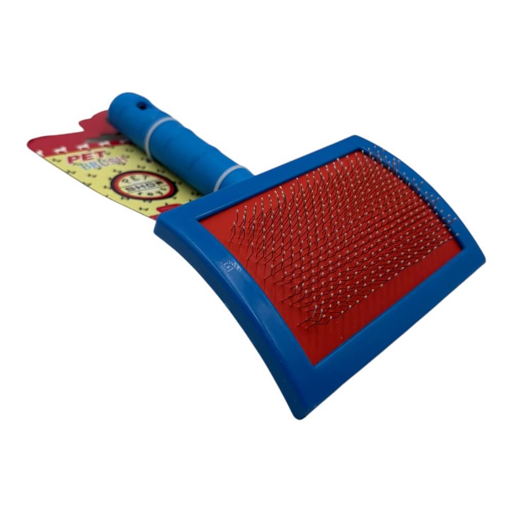 Cepillo Agujas Finas 20x11.5cm 12pcs Color Aleatorio ZCXA592