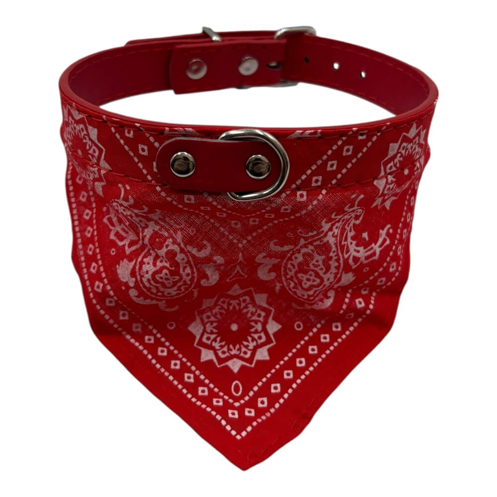Collar Con Pañuelo 2x41cm 12 pcs Color Aleatorio ZCZD0183