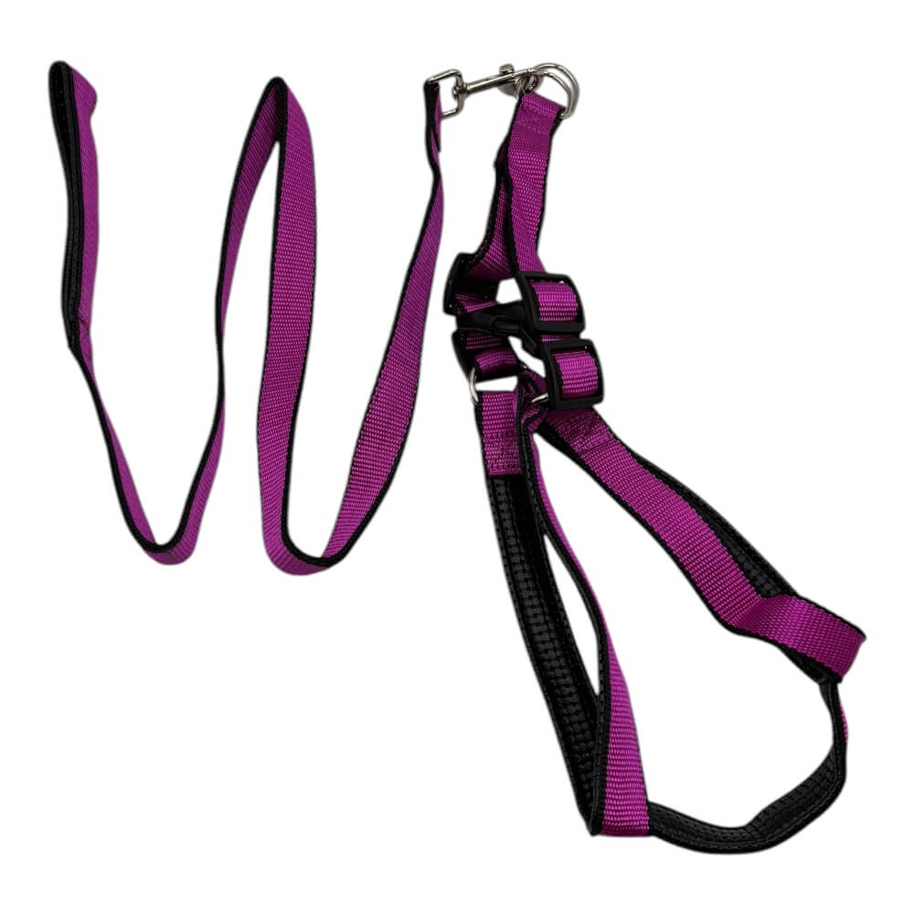 Arnes y Correa Reforzado 2.5x160cm Color Aleatorio ZCZD625 0