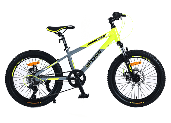 BICICLETA FOSS ARO 20 NIÑO.  GRIS / LIMA1