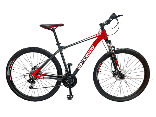 Bicicleta FOSS MOUNT 29 TALLA ( L )19 GREY/RED1