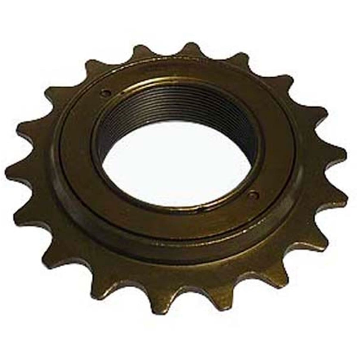 PIÑON 18 DTES  libre1