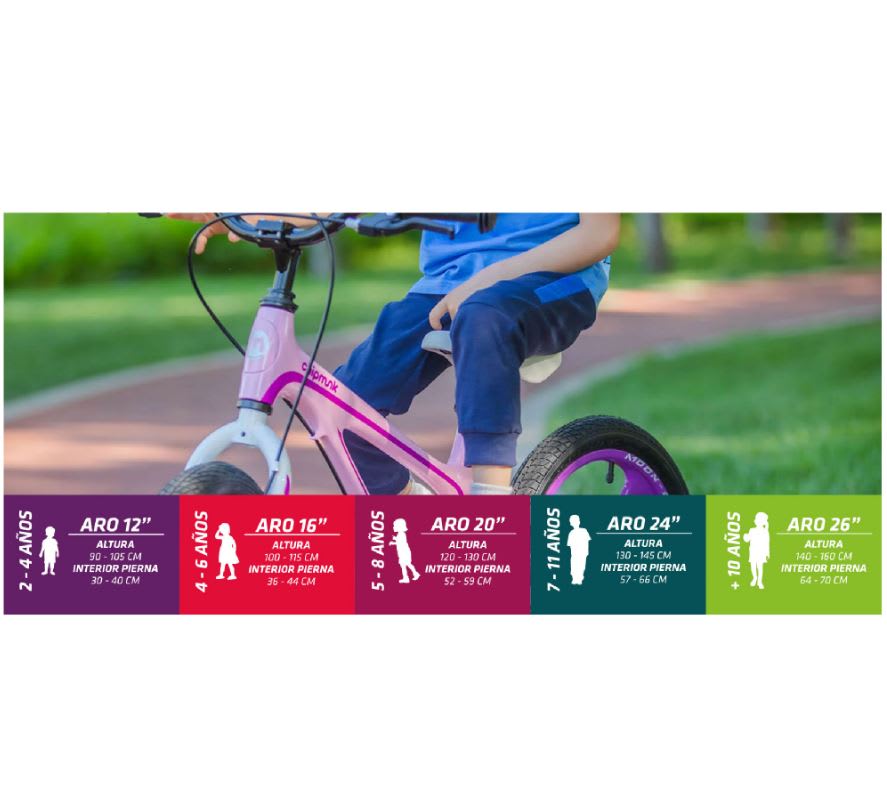 Bicicleta Royal Baby Chipmunk Explorer Disc 20