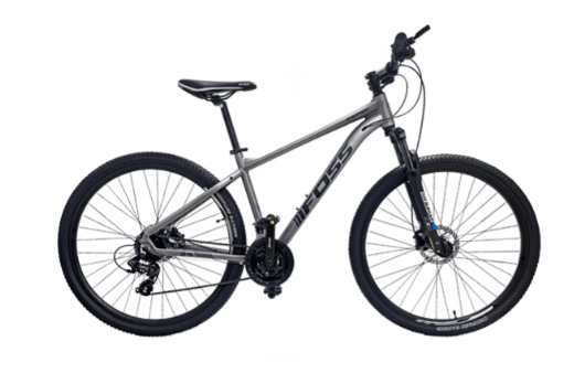 Bicicleta FOSS Zepik 29 Aluminio Grey/Black ( M )1