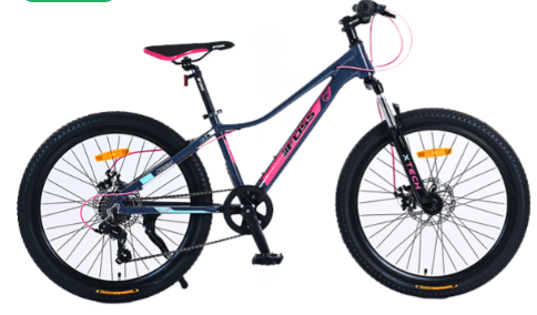 BICILETA FOSS XC24 Niña Gris/Fucsia1