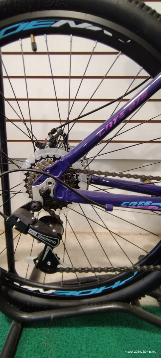 Bicicleta PHOENIX Cate Aro 27.53