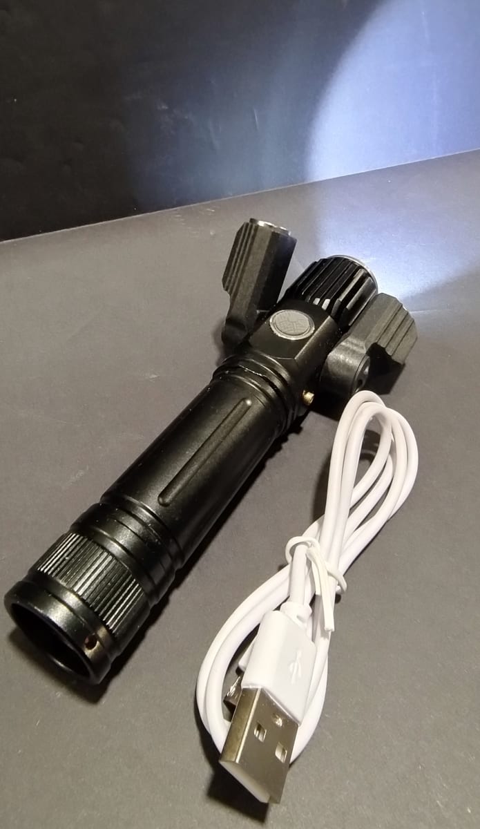 Luz Electric Torch Delantera3