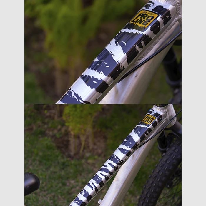 PROLINE BIKE GUARD TIGRE (TRANSPARENTE)5