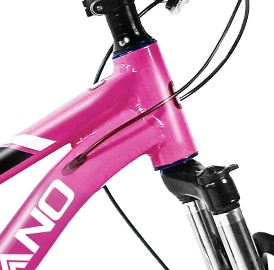 Bicicleta BUCCANO 20 Rosado2