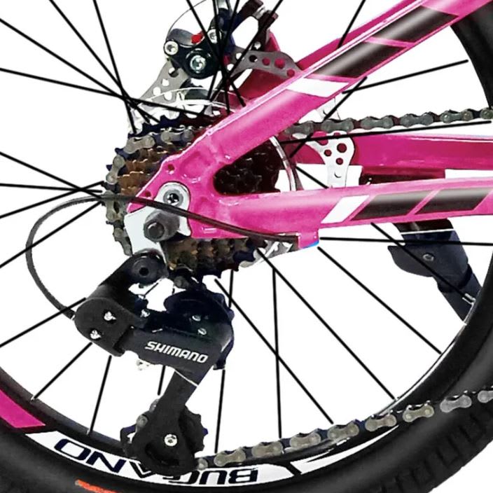 Bicicleta BUCCANO 20 Rosado3