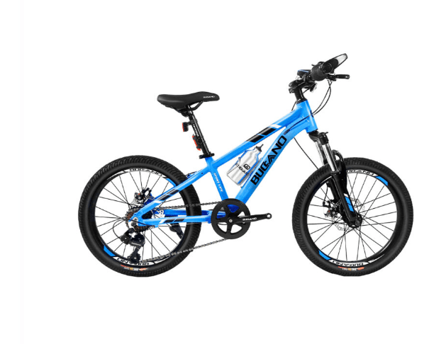 Bicicleta BUCCANO ARO 20 Azul1