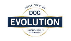 DOG EVOLUTION
