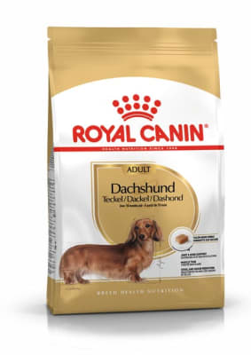 Royal canin dachshund adulto1