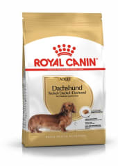 Royal canin dachshund adulto