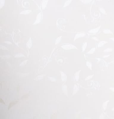 Cartulina Garden 220grs