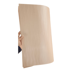 Cartulina Ombak 220grs 5