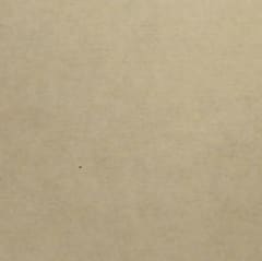 Cartón Europa Gris 55X77cm 2