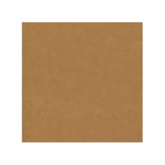 Cartulina Kraft 55x75cm 1