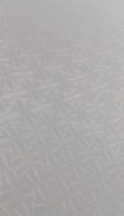 Cartulina Florencia 220grs 2