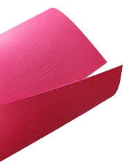 Cartulina Holanda 220grs 5