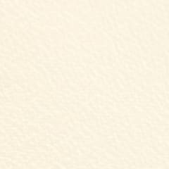 Cartulina New York 200grs 0