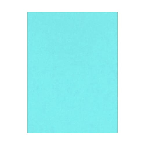 Carton Pintado 220grs14