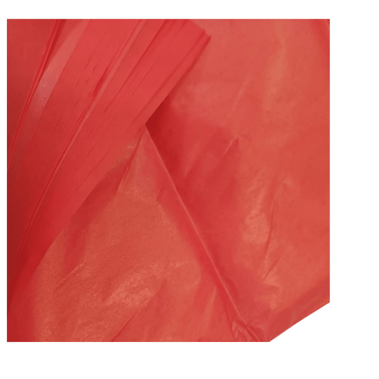 PAPEL SEDA PLIEGOS 50X66CM 17GRS 10 PLIEGO17