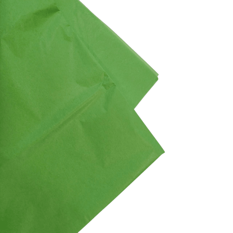 PAPEL SEDA PLIEGOS 50X66CM 17GRS 10 PLIEGO14