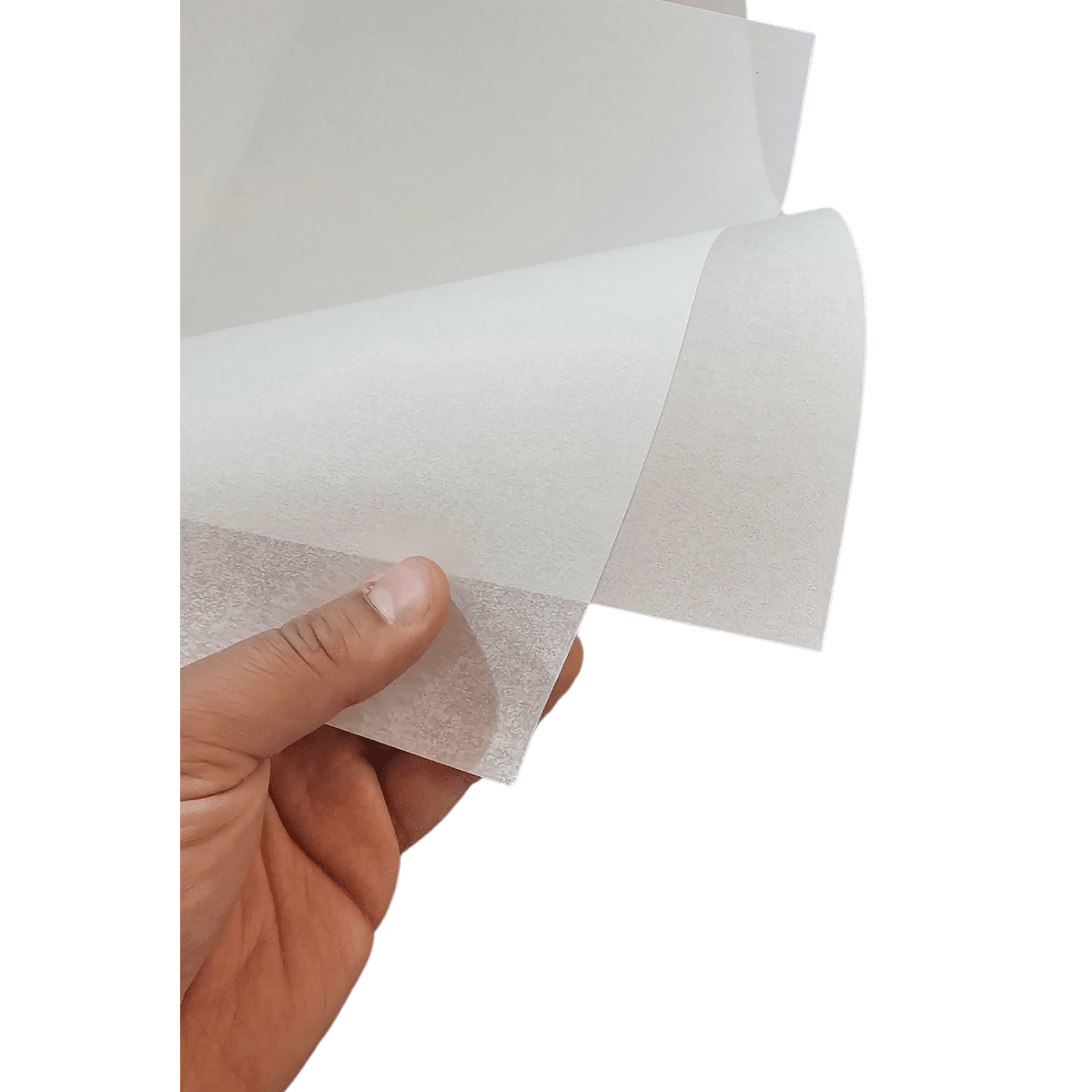 PERGAMINO ICE 50x70cm5