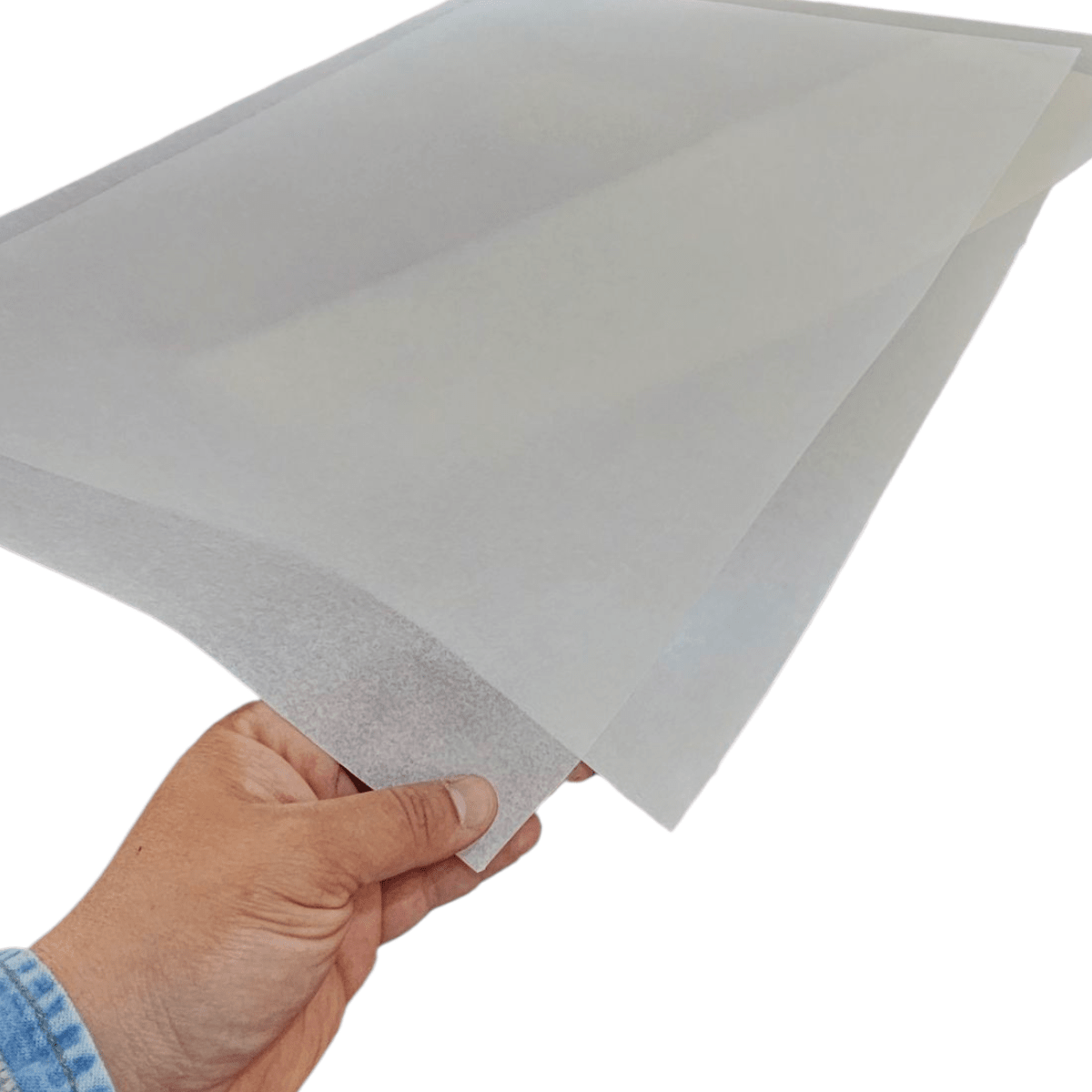 PERGAMINO ICE 50x70cm4