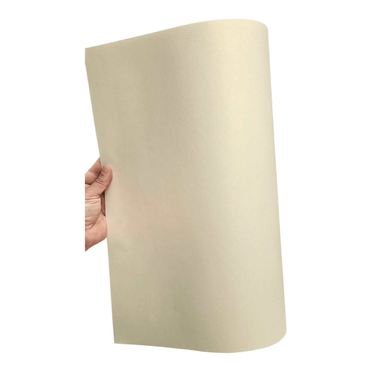 Cartulina Perlada 250grs3