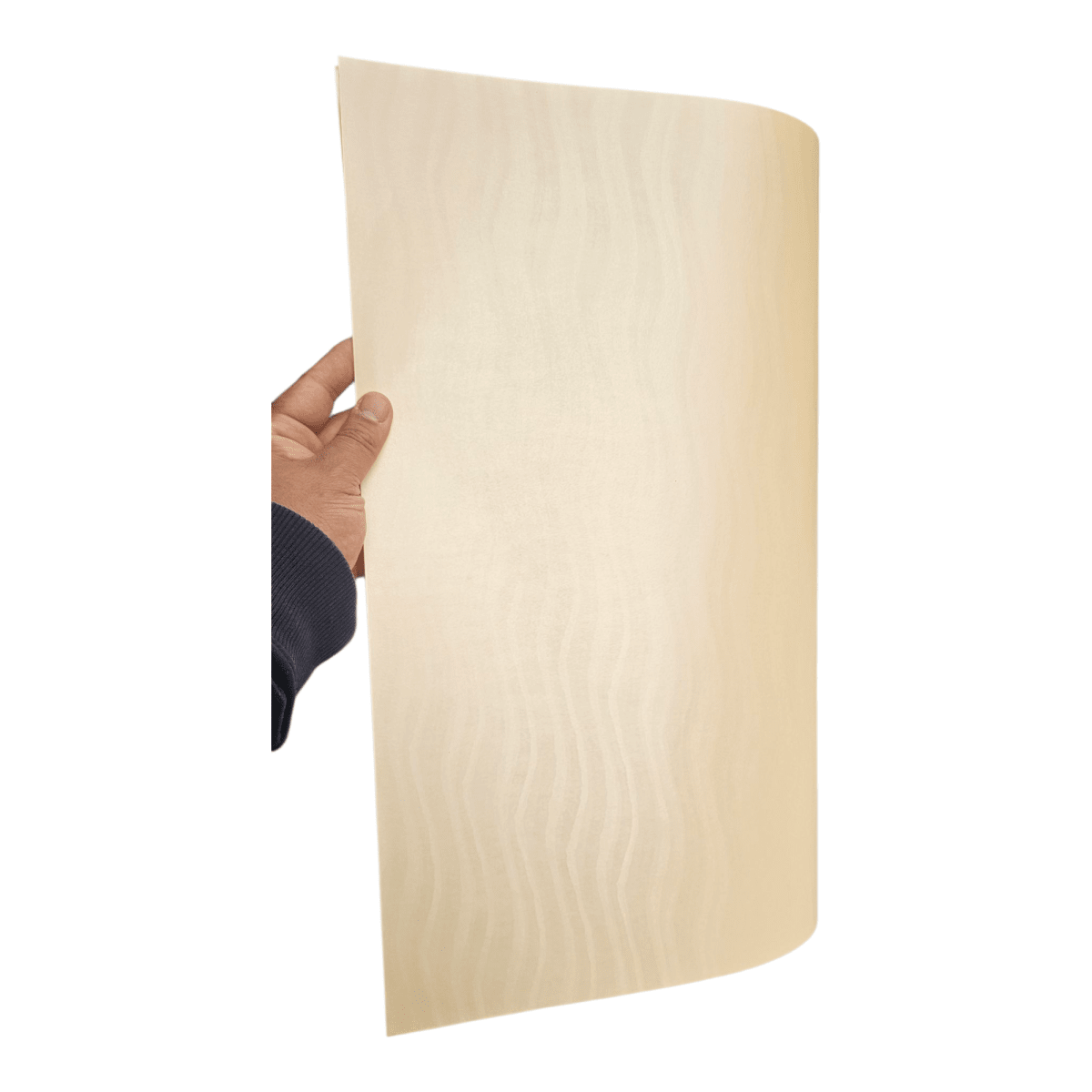 Cartulina Ombak 220grs2