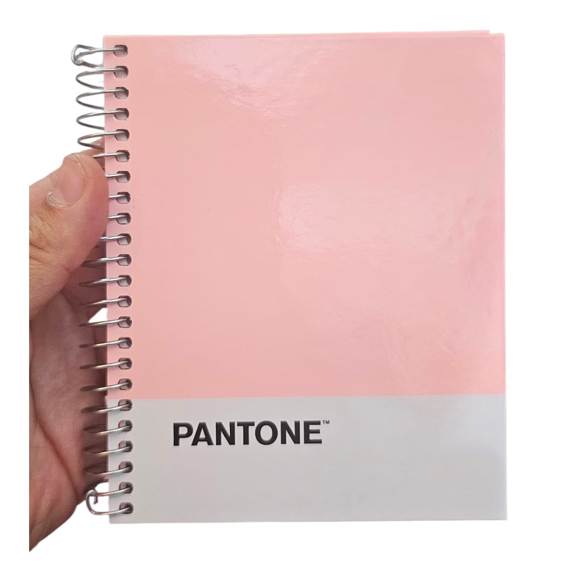 CUADERNOS POCKET 100HOJAS 5MM ANILLADO2