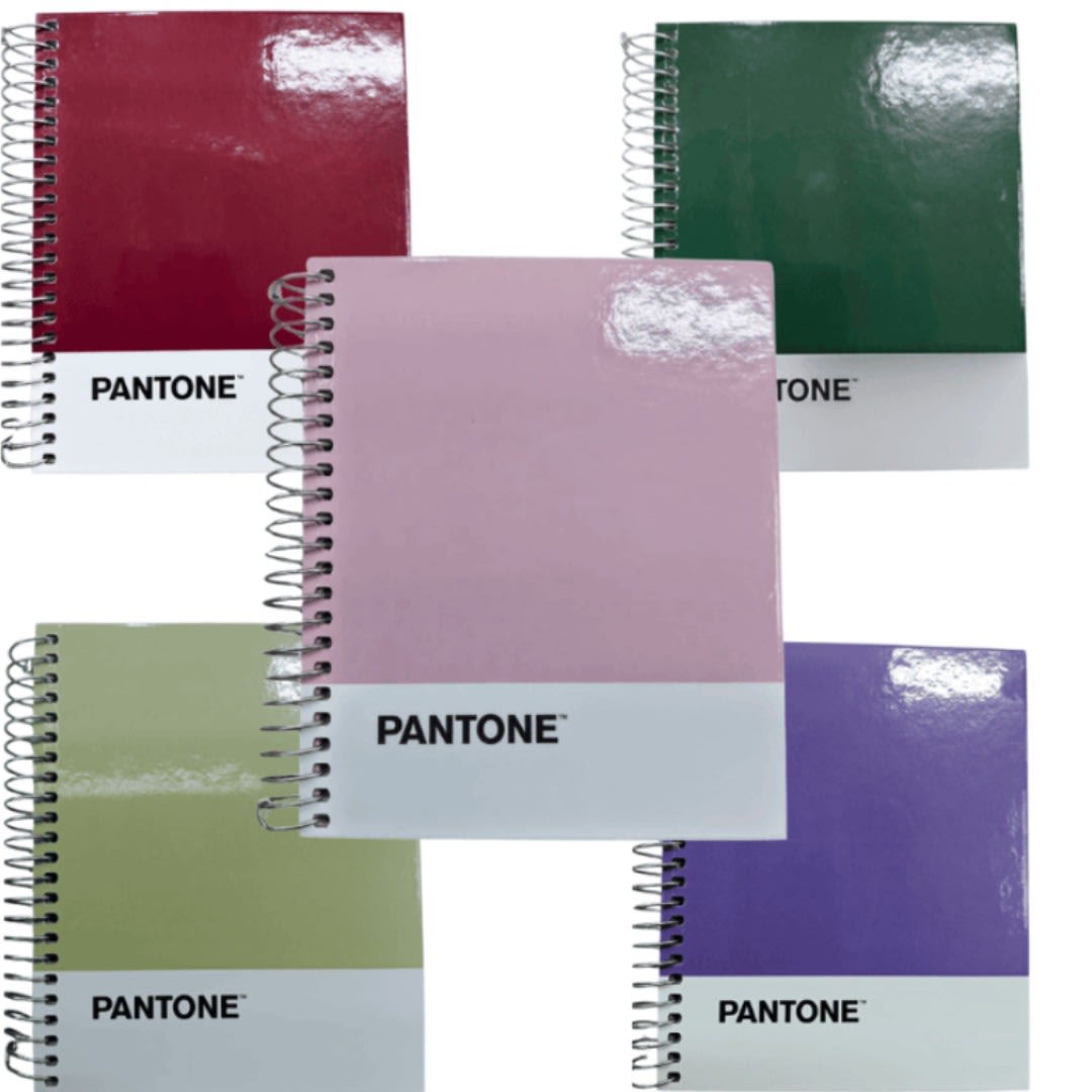 CUADERNOS POCKET 100HOJAS 5MM ANILLADO5