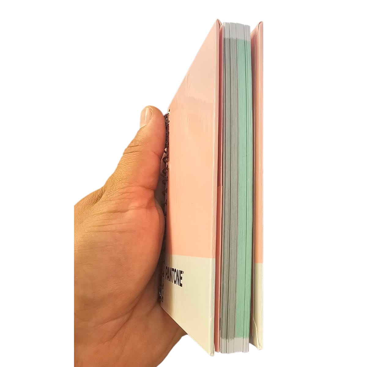 Cuaderno Pantone Mini Pocket Colores Pasteles, Color Surtido 1 Un 9,2x11cm 100hjs5