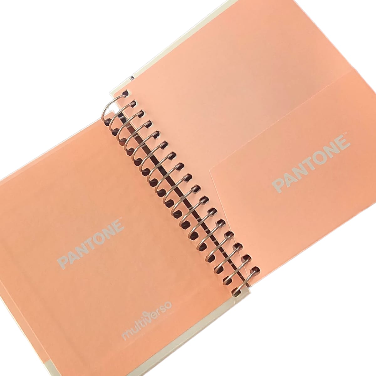 Cuaderno Pantone Mini Pocket Colores Pasteles, Color Surtido 1 Un 9,2x11cm 100hjs4