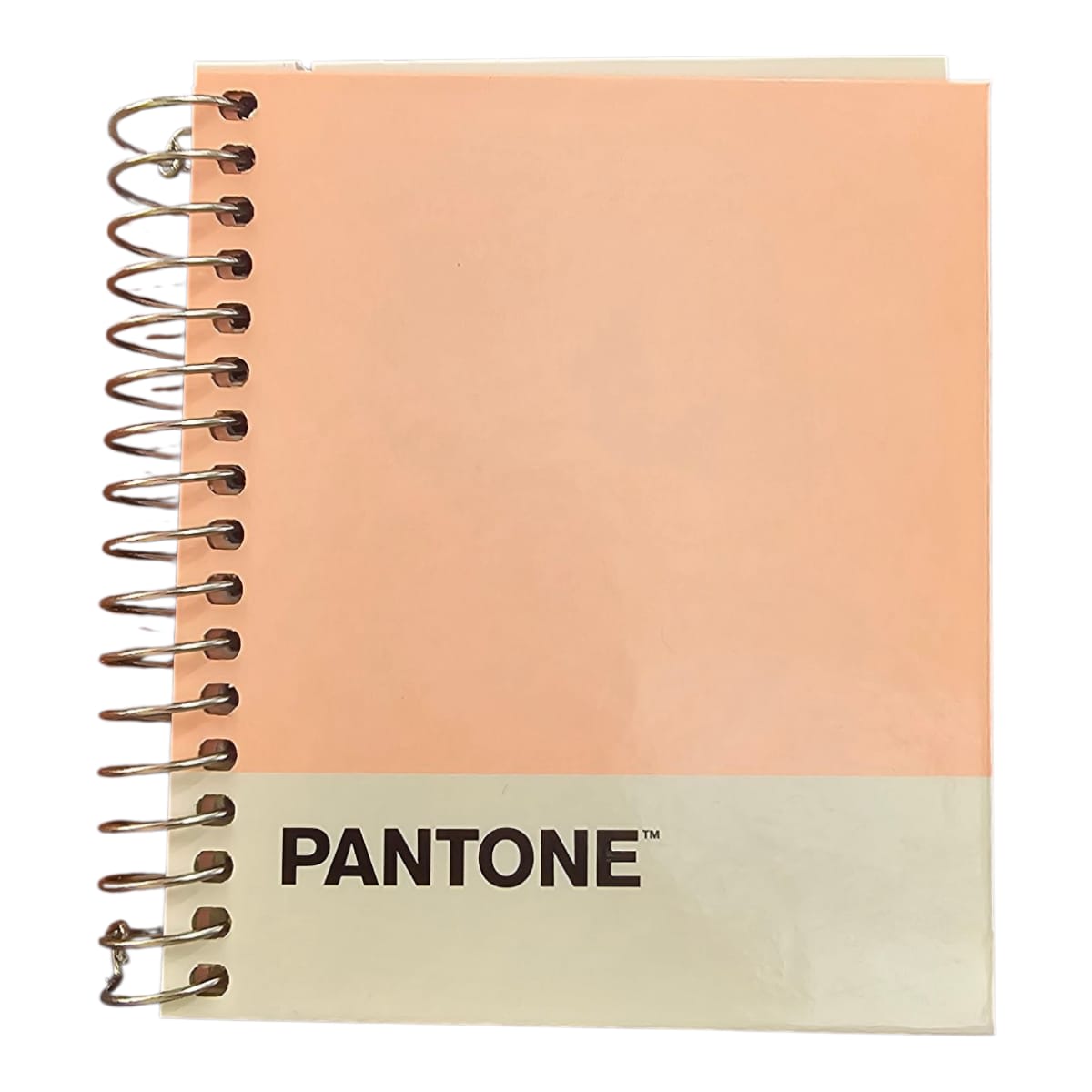 Cuaderno Pantone Mini Pocket Colores Pasteles, Color Surtido 1 Un 9,2x11cm 100hjs3
