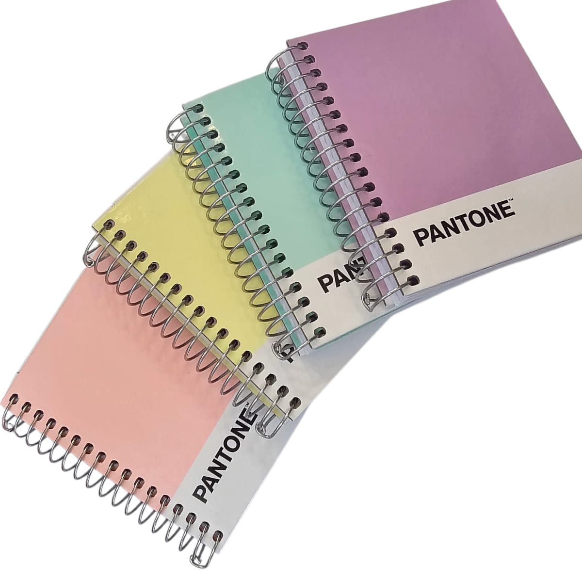 Cuaderno Pantone Mini Pocket Colores Pasteles, Color Surtido 1 Un 9,2x11cm 100hjs1