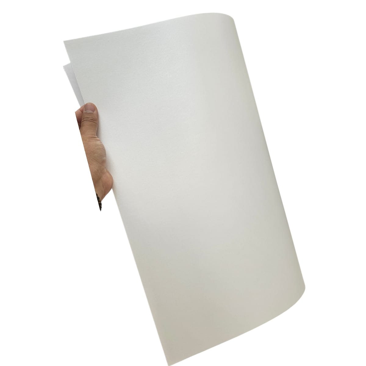 Cartulina Majestic 250grs32