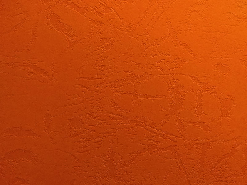 Cartulina Africa 200grs8