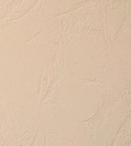 Cartulina Africa 200grs10