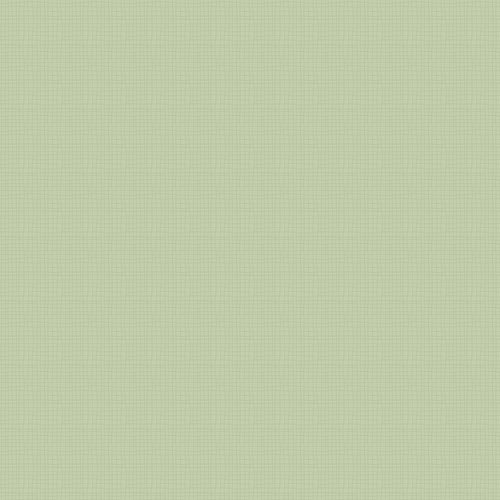 Cartulina Burano Hilo 200grs3