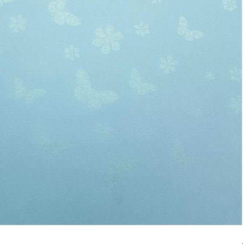 Cartulina Butterfly 220grs3