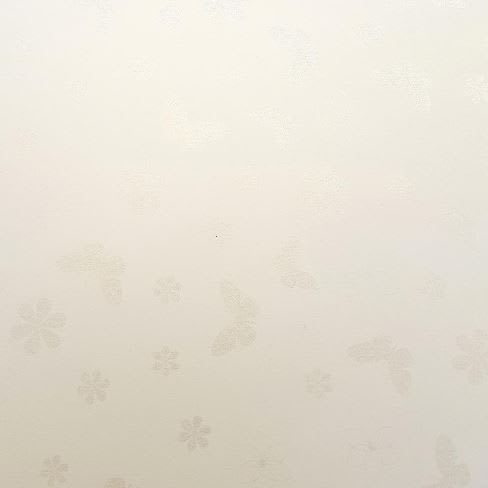 Cartulina Butterfly 220grs4