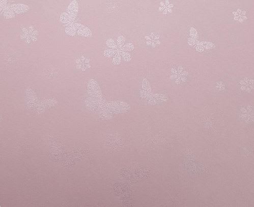 Cartulina Butterfly 220grs1