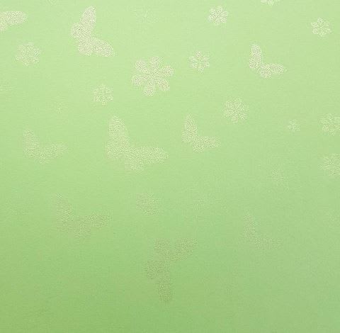 Cartulina Butterfly 220grs2