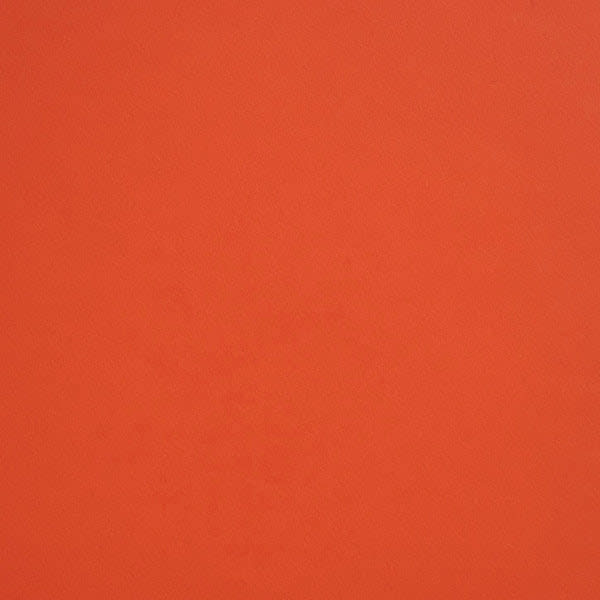 Cartulina California 170grs2